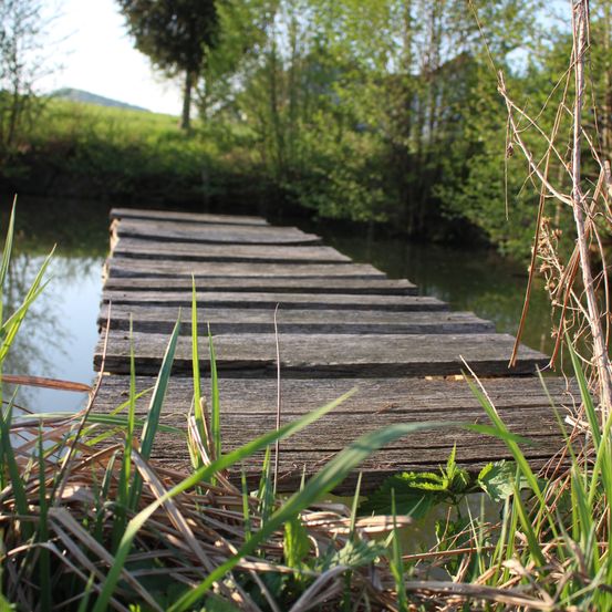 Eine Holzplankenbrücke führt zu den ruhigen Gewässern eines Teichs, umgeben von üppigem Grün und einem entfernten Hügel unter einem hellen Himmel.