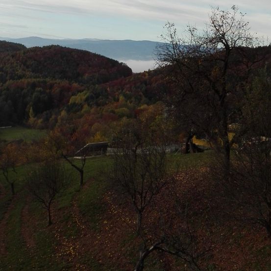 Eine szenische Luftaufnahme einer hügeligen Landschaft. Bäume mit roten und gelben Blättern sind auf den Hängen verstreut. Ein grünes Feld mit verstreuten Bäumen liegt unterhalb der Hügel. In der Ferne gibt es Berge, die von Nebel bedeckt sind.