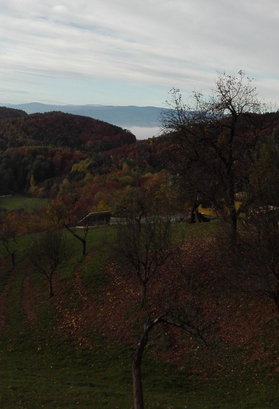 Eine szenische Luftaufnahme einer hügeligen Landschaft. Bäume mit roten und gelben Blättern sind auf den Hängen verstreut. Ein grünes Feld mit verstreuten Bäumen liegt unterhalb der Hügel. In der Ferne gibt es Berge, die von Nebel bedeckt sind.