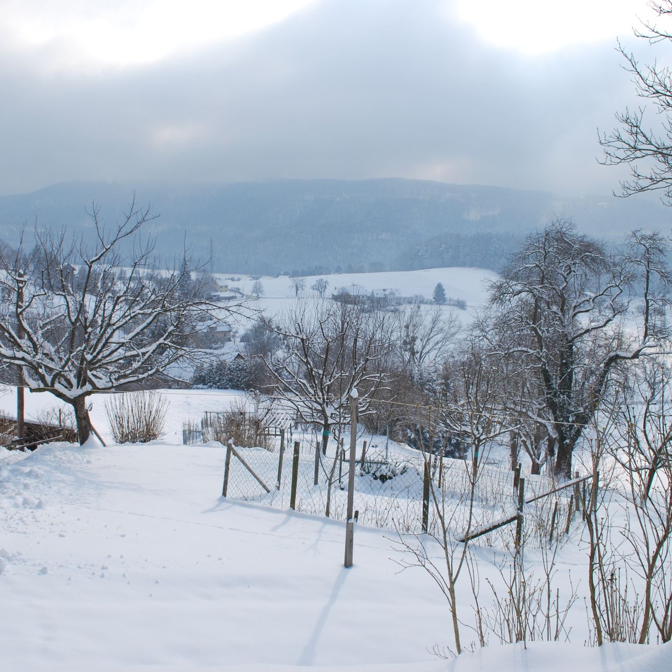 Eine Winterlandschaft mit schneebedeckten Hügeln und Bäumen im Vordergrund. Der Himmel ist bewölkt.