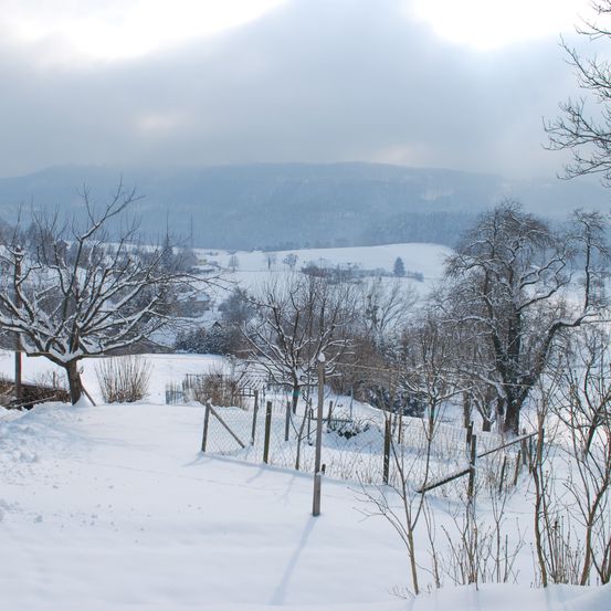 Eine Winterlandschaft mit schneebedeckten Hügeln und Bäumen im Vordergrund. Der Himmel ist bewölkt.