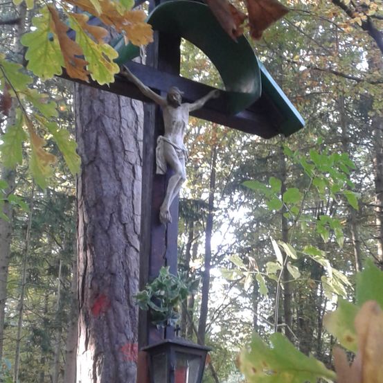 Ein hölzernes Kreuz mit einer Jesusstatue steht in einem Wald. Grüne Blätter umgeben es. Das Kreuz ist an einem Baumstamm befestigt.