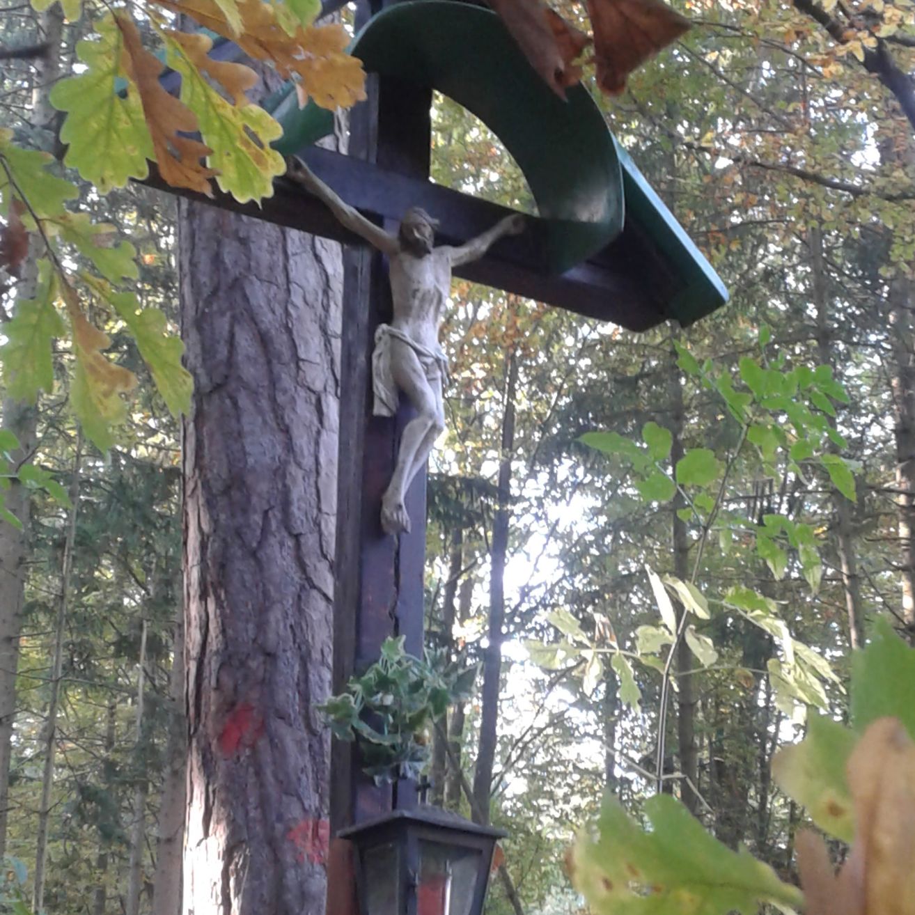 Ein hölzernes Kreuz mit einer Jesusstatue steht in einem Wald. Grüne Blätter umgeben es. Das Kreuz ist an einem Baumstamm befestigt.