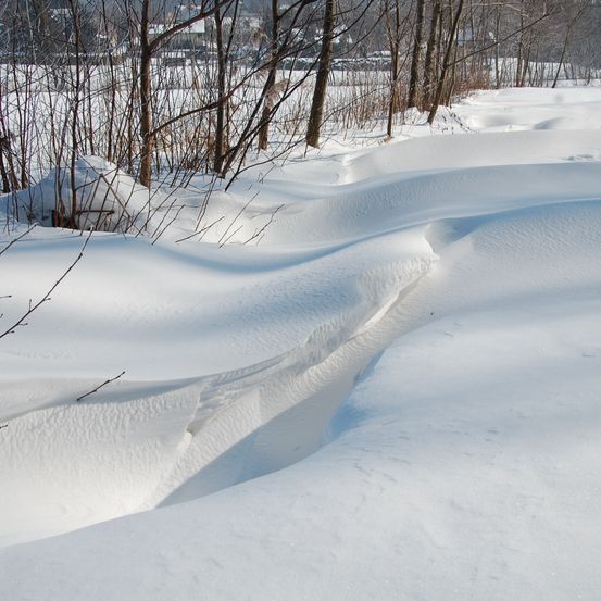 Eine verschneite Landschaft mit schneebedeckten Bäumen und Schneeverwehungen, eine ruhige Winterszene mit sanften Schneeformationen.