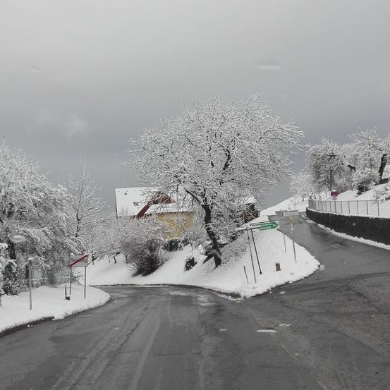 Eine verschneite Straße biegt nach links, mit einem gelben Haus in der Ferne. Schneebedeckte Bäume säumen die Seiten, und ein Straßenschild weist nach links. Der Himmel ist bedeckt.