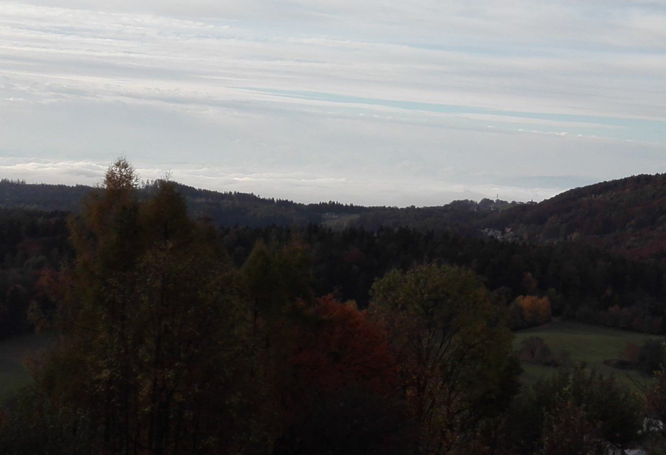 Ein Blick von oben zeigt einen Wald mit verschiedenfarbigen Blättern unter einem bewölkten Himmel.