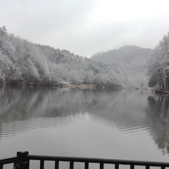 Eine friedliche Winterszene mit einem See, einem verschneiten Berg und Bäumen im Vordergrund. Der Himmel ist bedeckt.
