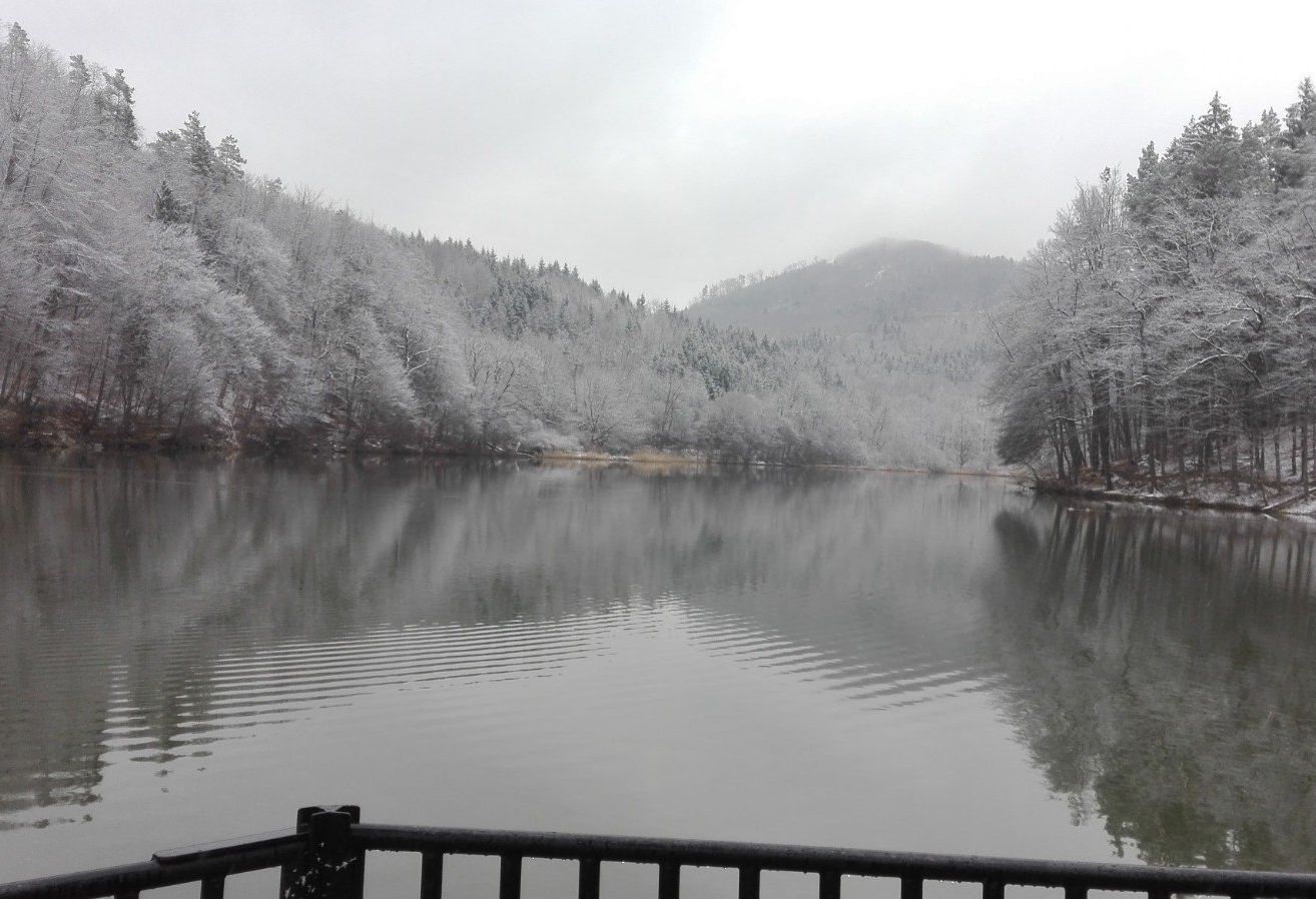 Eine friedliche Winterszene mit einem See, einem verschneiten Berg und Bäumen im Vordergrund. Der Himmel ist bedeckt.