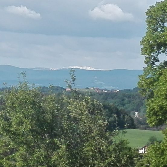 Ein malerischer Blick von einem Hügel zeigt üppige grüne Bäume und entfernte Berge unter einem bewölkten Himmel.