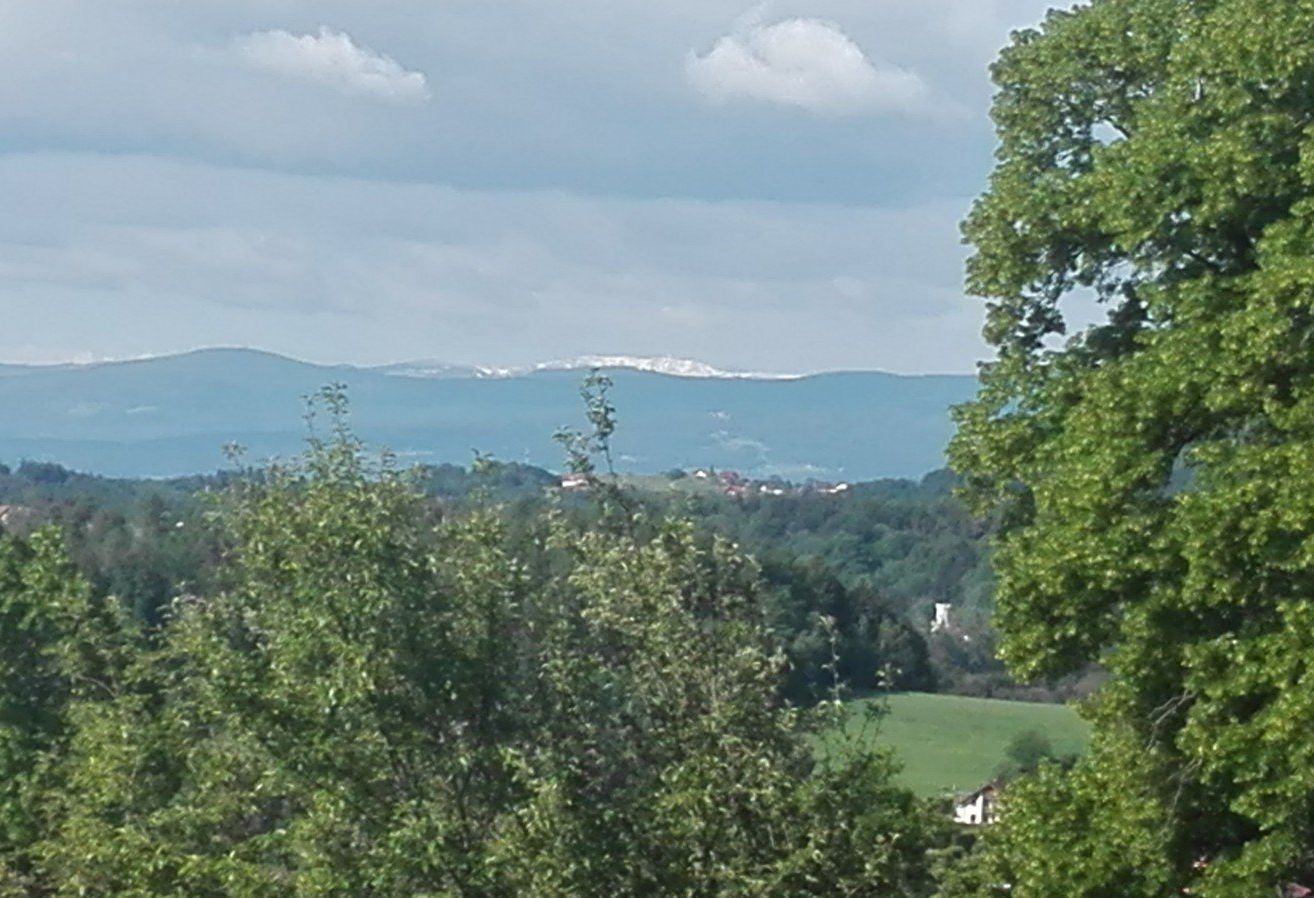 Ein malerischer Blick von einem Hügel zeigt üppige grüne Bäume und entfernte Berge unter einem bewölkten Himmel.