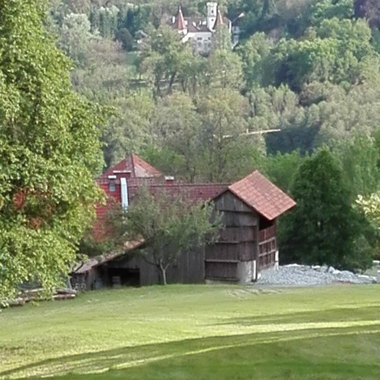 Eine Scheune mit rotem Dach und Holzwänden steht in einem grünen Feld, umgeben von Bäumen und Pflanzen. In der Ferne befindet sich ein Schloss auf einem Hügel.