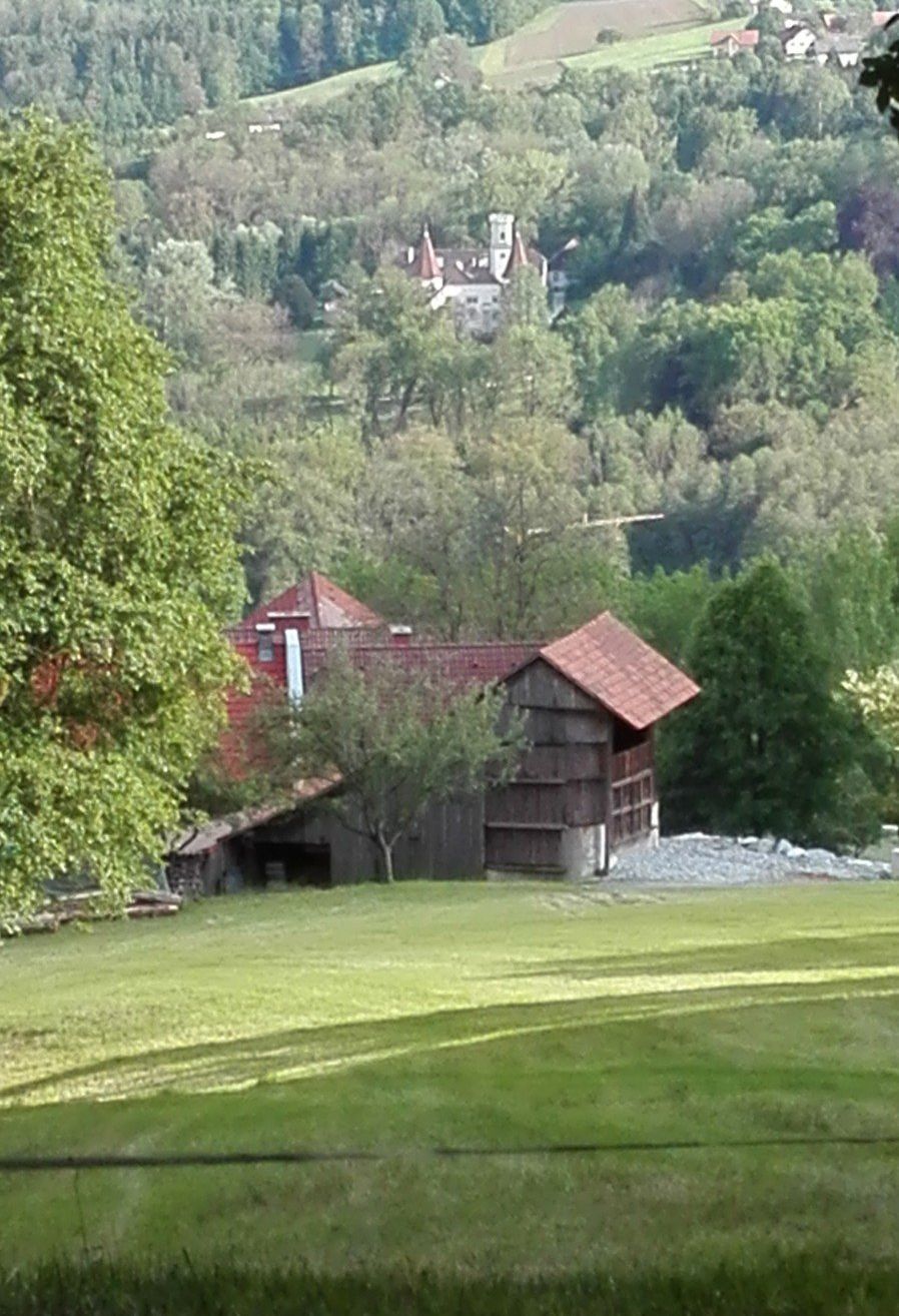 Eine Scheune mit rotem Dach und Holzwänden steht in einem grünen Feld, umgeben von Bäumen und Pflanzen. In der Ferne befindet sich ein Schloss auf einem Hügel.