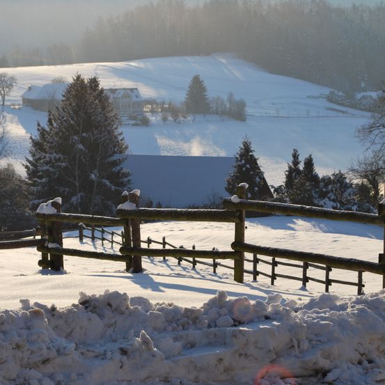 Eine verschneite Landschaft mit einem Holzzaun, schneebedeckten Bäumen und einem Haus in der Ferne unter einem grauen Himmel.