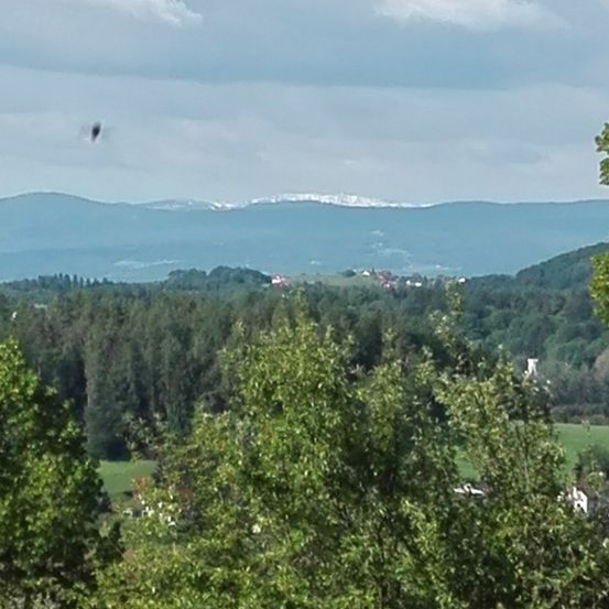 Luftaufnahme einer hügeligen Landschaft mit grünen Bäumen und fernen Bergen unter einem bewölkten Himmel.