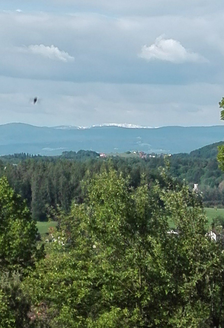 Luftaufnahme einer hügeligen Landschaft mit grünen Bäumen und fernen Bergen unter einem bewölkten Himmel.