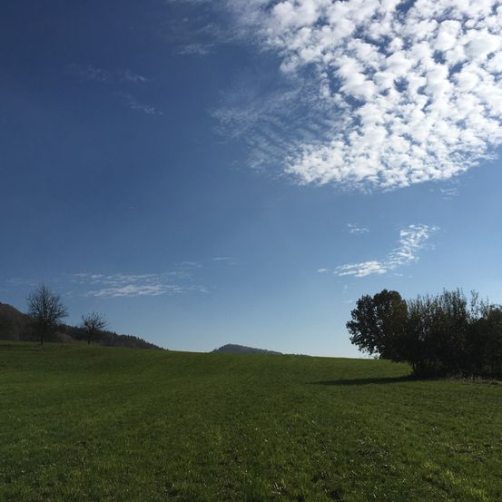 Ein weitläufiges, grünes Feld unter einem blauen Himmel mit verstreuten Wolken. Ein einzelner Baum steht rechts. In der Ferne ist ein Gebirgszug sichtbar.