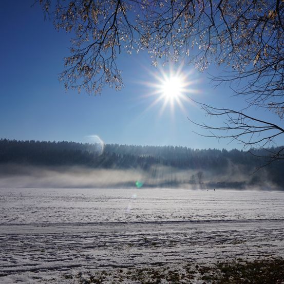 Ein sonniger Tag mit einem strahlenden Sonnenschein und einem nebligen Feld, umgeben von Bäumen.