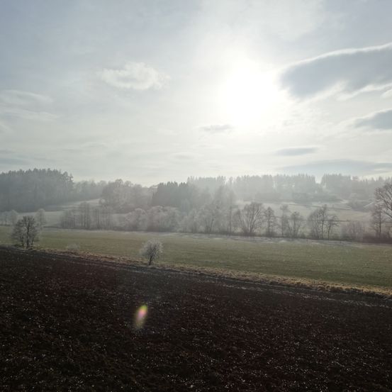 Ein heller Morgen mit klarem Himmel, einem Feld mit einigen Bäumen bedeckt von Frost und einer Reihe von Bäumen in der Ferne.