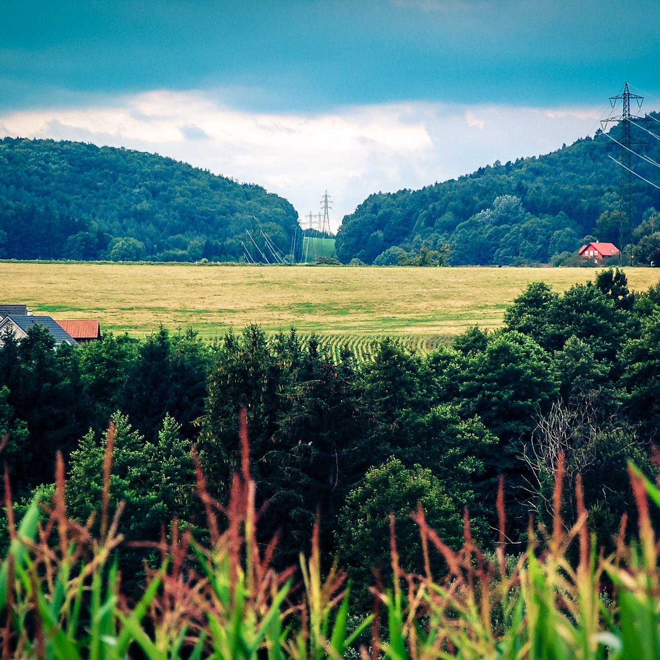 Ein breites grünes Feld mit einem roten Haus in der Ferne. Stromleitungen verlaufen über das Feld. Bäume säumen den Rand des Feldes.