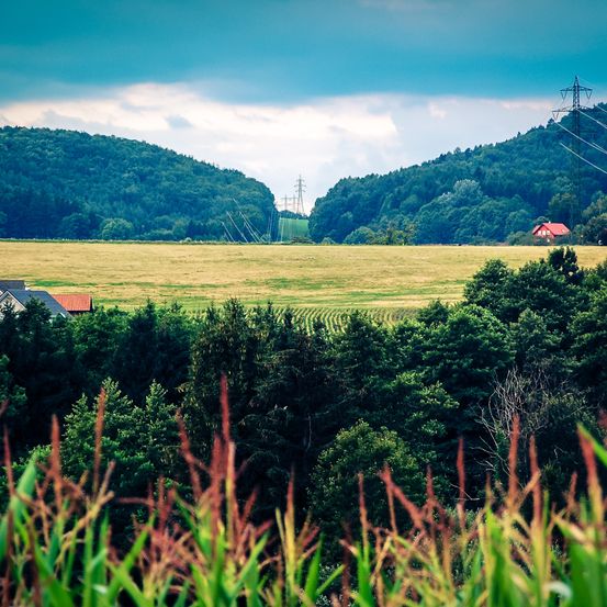 Ein breites grünes Feld mit einem roten Haus in der Ferne. Stromleitungen verlaufen über das Feld. Bäume säumen den Rand des Feldes.