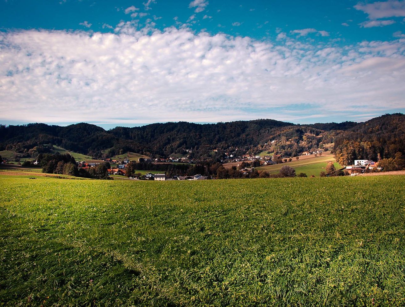 Ein Panoramablick auf ein weites grünes Feld unter einem blauen Himmel mit verstreuten Wolken. In der Ferne liegt ein kleines Dorf eingebettet in üppige Grünflächen und sanfte Hügel.