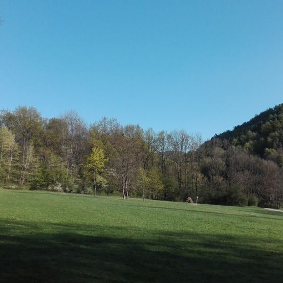 Ein breites, offenes Feld mit grünem Gras und Bäumen im Hintergrund, unter einem klaren blauen Himmel.