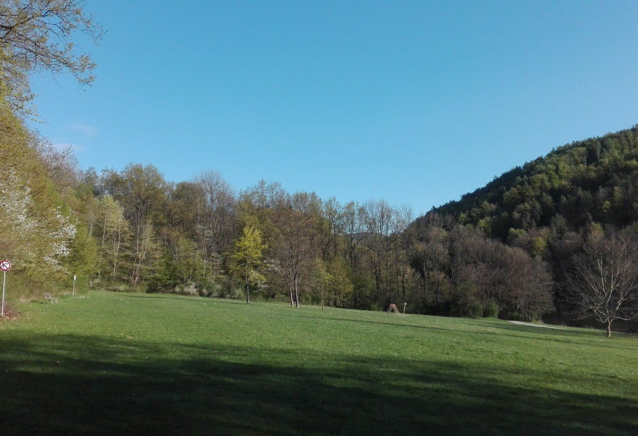 Ein breites, offenes Feld mit grünem Gras und Bäumen im Hintergrund, unter einem klaren blauen Himmel.