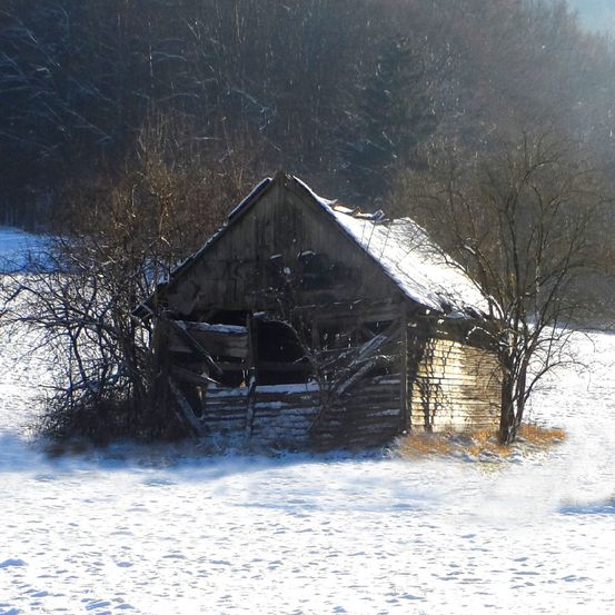 Eine alte, verwitterte Scheune steht im schneebedeckten Feld. Das Dach ist beschädigt und von Ästen umgeben. Im Hintergrund sind die Bäume kahl.