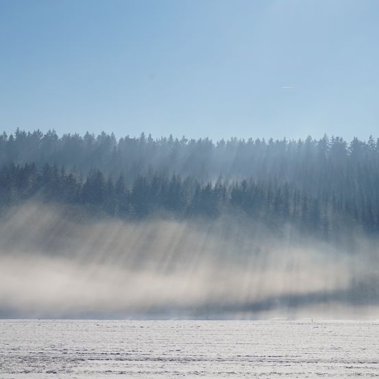 Eine weite, verschneite Landschaft unter einem klaren blauen Himmel mit dichtem Wald und aufsteigendem Nebel im Hintergrund.