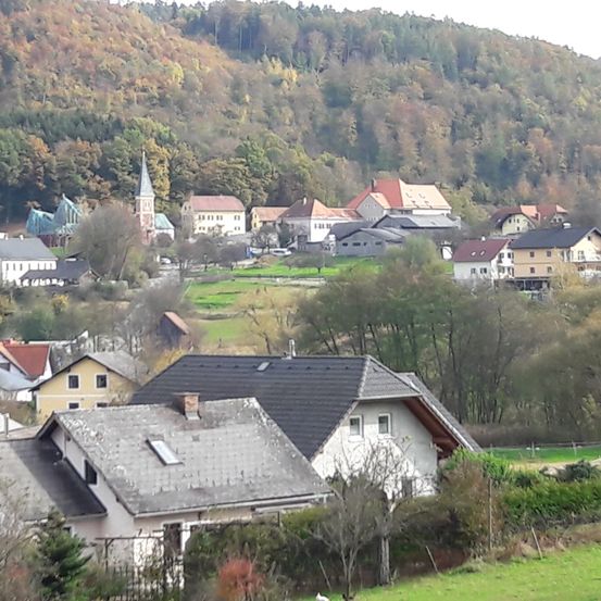 Ein Dorf mit mehreren Häusern und einer Kirche ist von üppigen grünen Feldern und Bäumen umgeben. Die Häuser haben verschiedene Farben und Designs, und ein Berg mit Bäumen im Hintergrund.