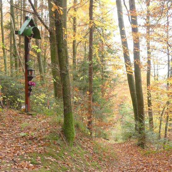 Ein Kruzifix steht in einem Wald mit abgefallenen Blättern, umgeben von hohen Bäumen mit leuchtend gelben Blättern.