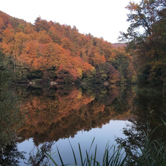 Ein ruhiger See mit klarem Wasser, das die bunten Herbstblätter widerspiegelt. Die Hügel sind mit roten, orangen und gelben Blättern bedeckt und bilden eine malerische Landschaft.