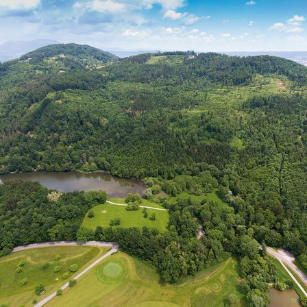 Luftaufnahme eines bewaldeten Gebiets mit einem Fluss in der Mitte. Bäume und Grünflächen dominieren die Landschaft mit einer kleinen Straße, die hindurchführt.