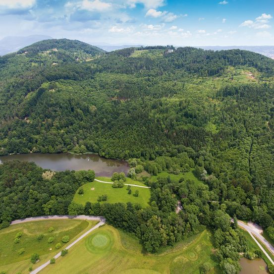 Luftaufnahme eines bewaldeten Gebiets mit einem Fluss in der Mitte. Bäume und Grünflächen dominieren die Landschaft mit einer kleinen Straße, die hindurchführt.
