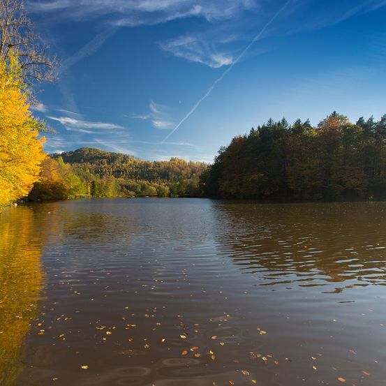 Ein ruhiger See mit klarem Wasser spiegelt den Himmel und die Bäume wider. Blätter schwimmen auf der Wasseroberfläche.