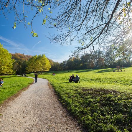 Ein sonniger Tag in einem Park mit Menschen, die auf der Wiese gehen und sitzen. Eine Person geht auf dem Kiesweg. Bäume und Pflanzen sind im Hintergrund.
