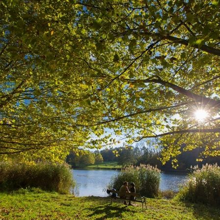Zwei Personen sitzen auf einer Bank unter einem großen Baum und genießen die Sonne in der Nähe eines ruhigen Sees.