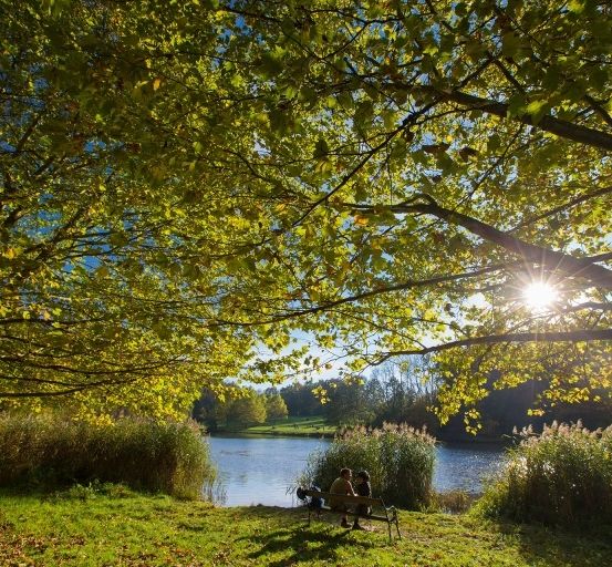 Zwei Personen sitzen auf einer Bank unter einem großen Baum und genießen die Sonne in der Nähe eines ruhigen Sees.