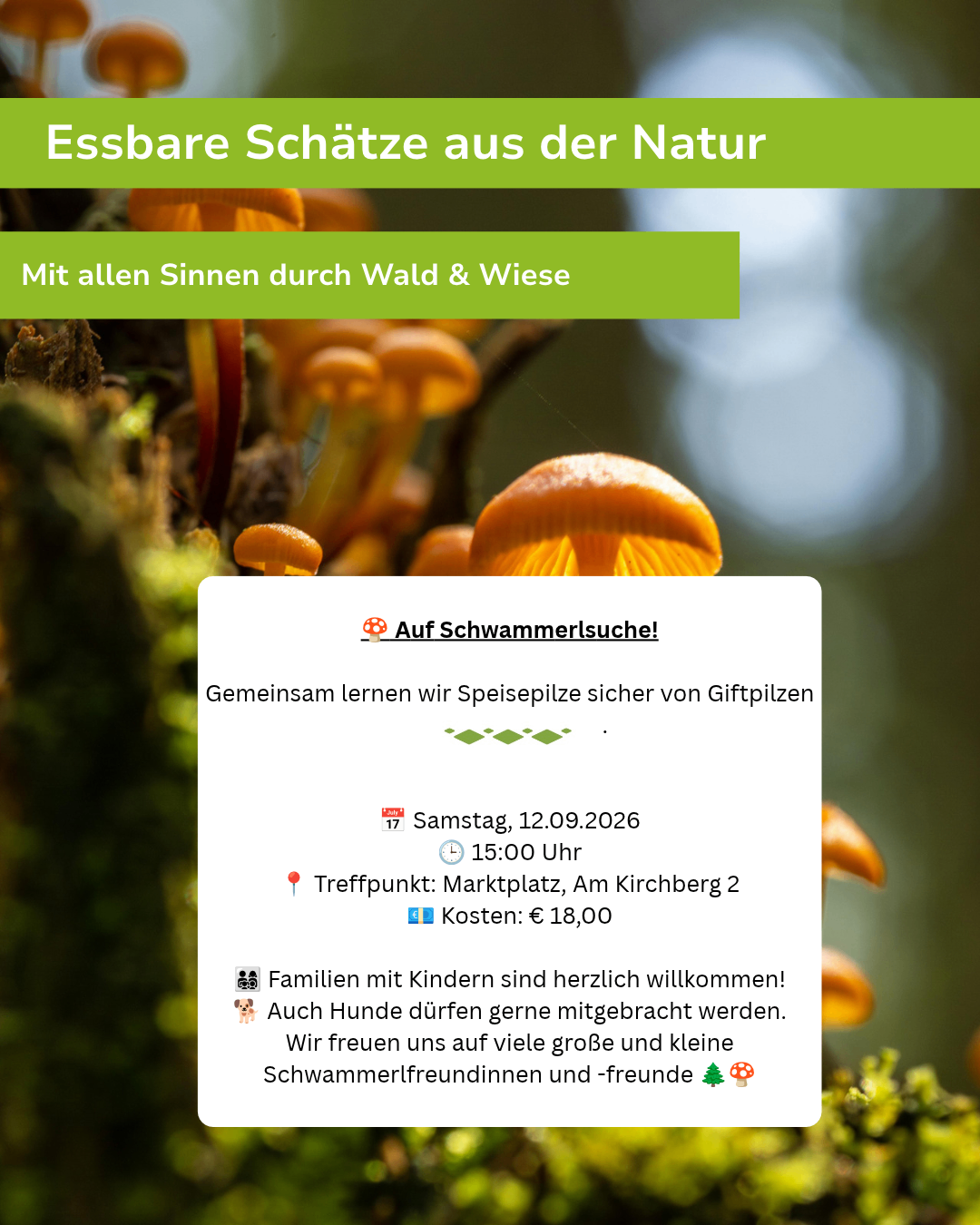 Eine Pilzsammelveranstaltung wird mit Schwerpunkt auf Sicherheit und Lernen beworben, mit einem Treffpunkt am Marktplatz, einem Datum vom 12. September 2026 und Kosten von 18 Euro. Familien mit Kindern sind willkommen, und Hunde sind erlaubt.