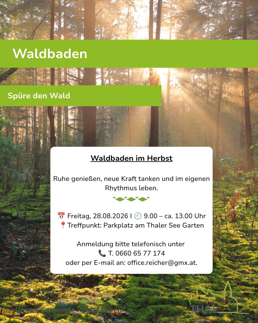 Ein Werbebild für ein Waldbaden-Event in Herbst, Deutschland. Es zeigt eine ruhige Waldszene mit Sonnenlicht, das durch die Bäume fällt. Der Text hebt Datum, Zeit und Treffpunkt der Veranstaltung hervor.