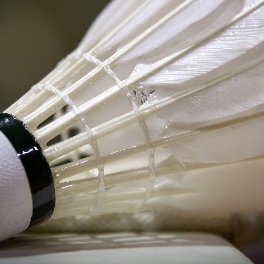 Eine Nahaufnahme eines Badminton-Federballs mit weißen Federn und einem schwarzen Band um die Basis, auf einer weißen Oberfläche platziert.