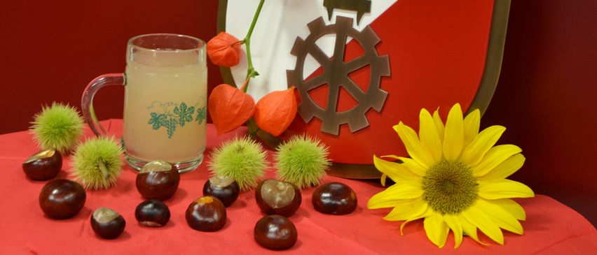 Bild enthält, Flower, Flower Arrangement, Plant, Glass, Flower Bouquet, Ikebana, Daisy, Goblet, Cup, Fruit