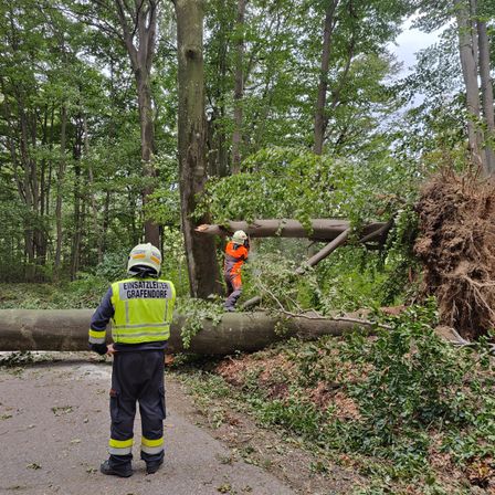 Starkwindereignis September 2024