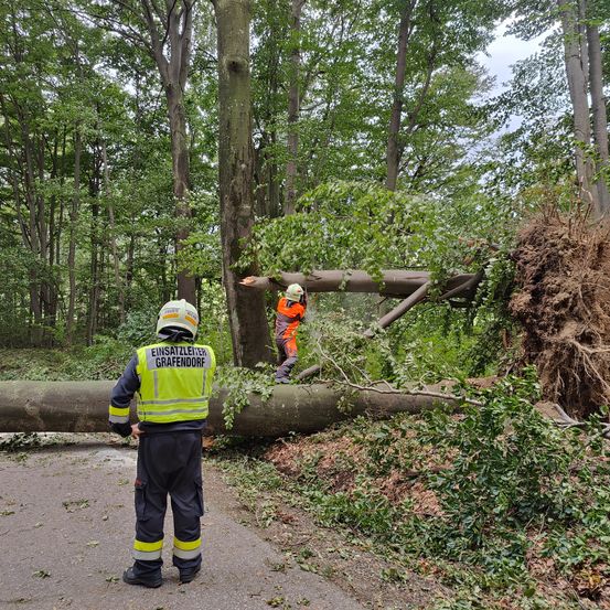 Starkwindereignis September 2024