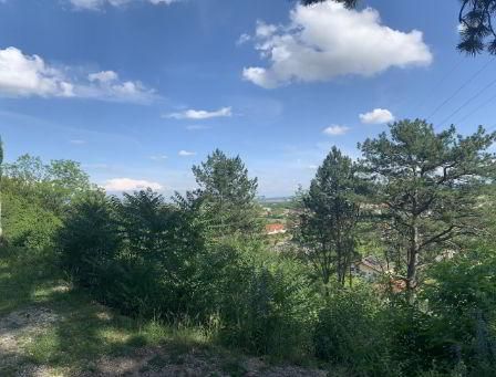 Ein sonniger Tag mit Blick auf eine Ruine einer Burg, umgeben von Grün und Bäumen, mit entfernten Häusern und einem klaren blauen Himmel.