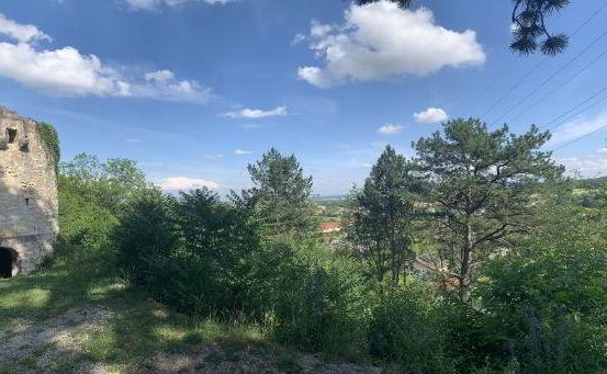 Ein sonniger Tag mit Blick auf eine Ruine einer Burg, umgeben von Grün und Bäumen, mit entfernten Häusern und einem klaren blauen Himmel.