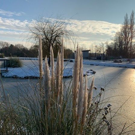 Schneebedeckte Landschaft mit einem zugefrorenen Teich, hohen Gräsern, einem Baum und einem entfernten Gebäude unter einem klaren blauen Himmel.