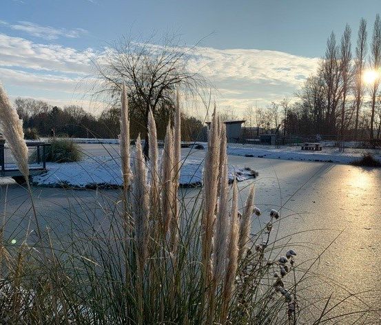 Schneebedeckte Landschaft mit einem zugefrorenen Teich, hohen Gräsern, einem Baum und einem entfernten Gebäude unter einem klaren blauen Himmel.