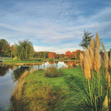 Ein ruhiger Teich mit hohen Gräsern und Bäumen. Der Himmel ist bewölkt. Eine kleine Brücke überquert den Teich.