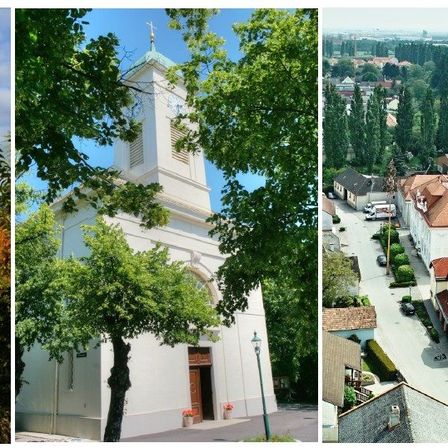Drei Bilder: ein Baum, eine Kirche mit Glockenturm und eine Stadt mit Gebäuden und einer Straße.
